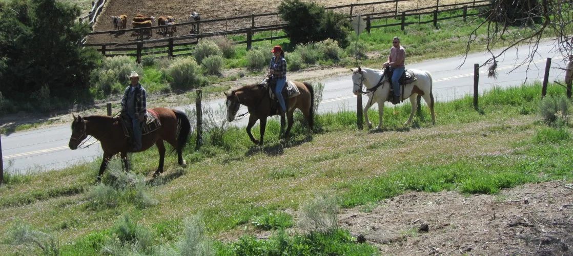 Rankin Ranch photo 7