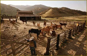 Rankin Ranch photo 8