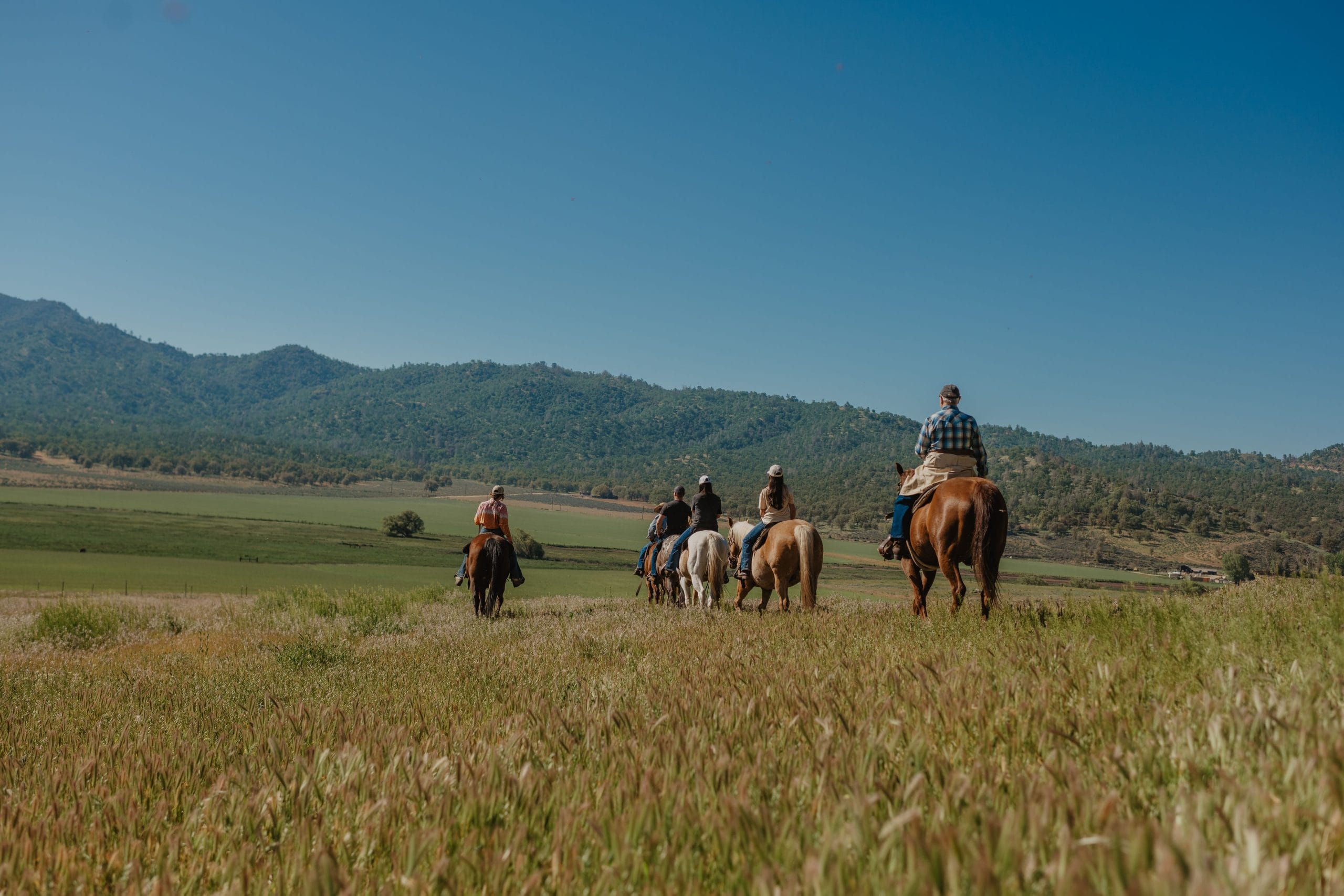 Horseback riding is Sustainable Travel.
